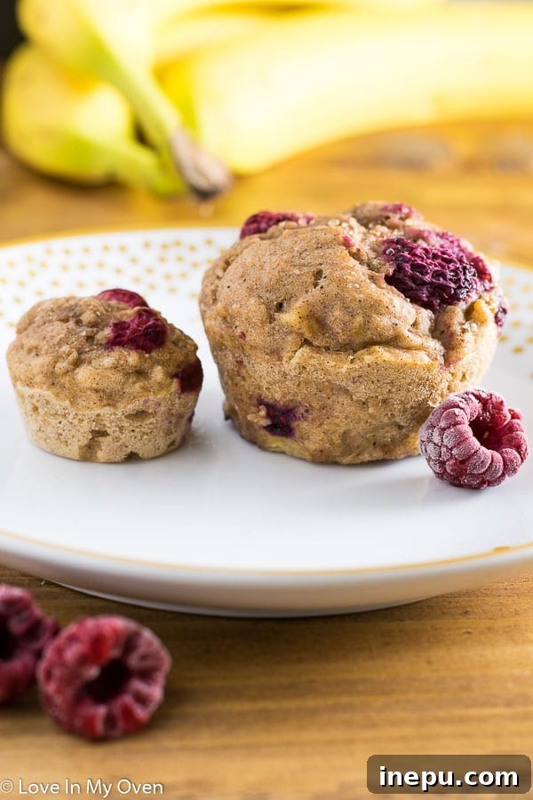 Mini Banana Muffins 2 Delicious and healthy sugar-free banana muffins for babies and adults.