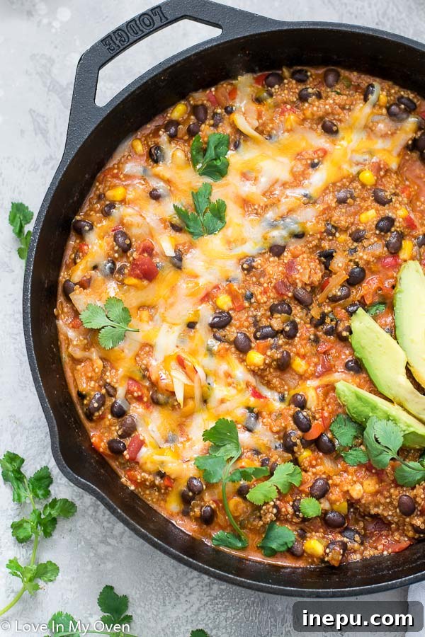 Overhead shot of a Mexican quinoa casserole in a skillet, featuring black beans, corn, and bell peppers, ready for a delicious meal.