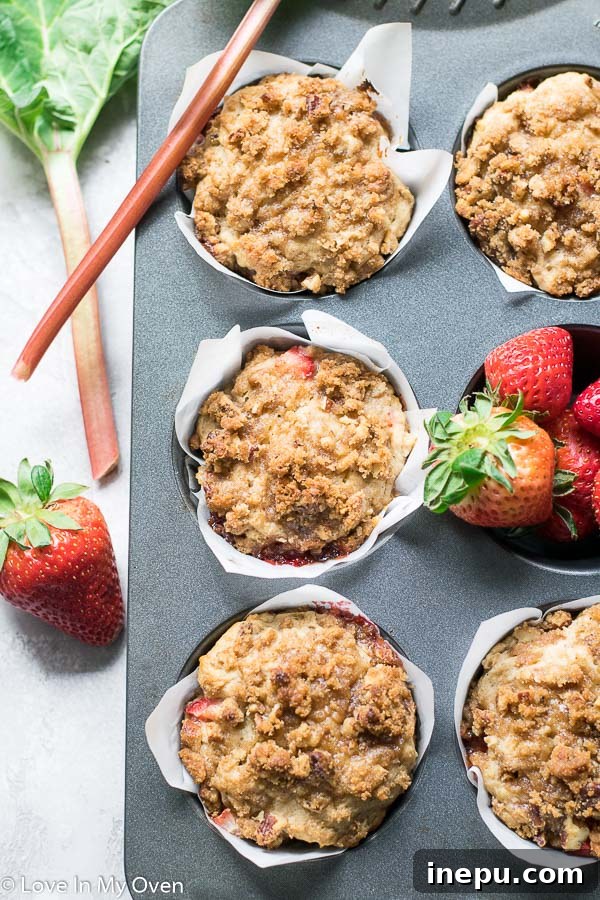 Delicious bakery-style jumbo strawberry rhubarb muffins with double streusel topping.