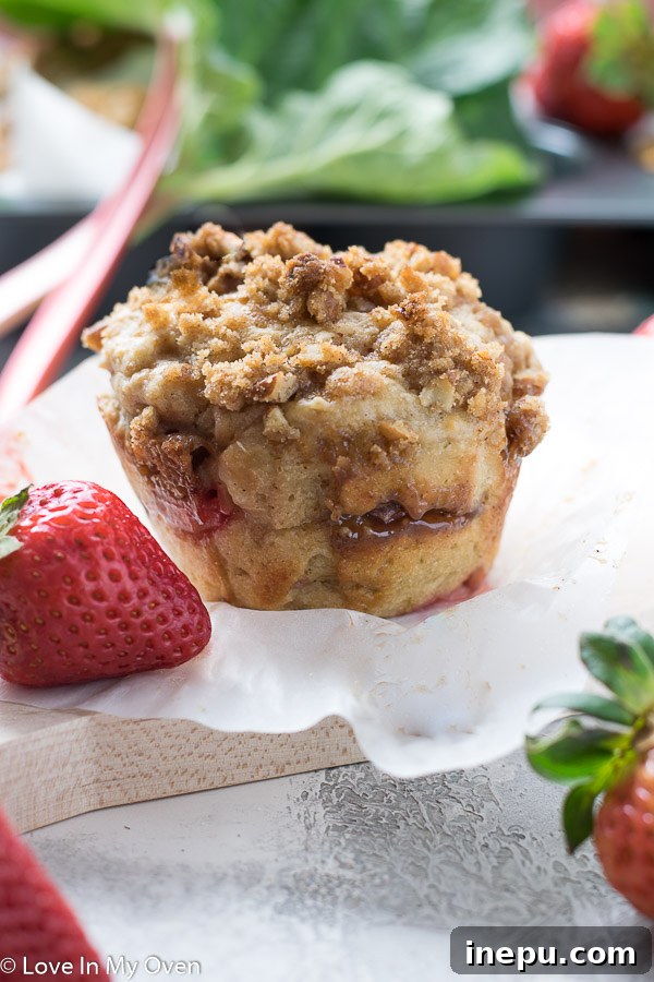 Close-up of a single jumbo strawberry rhubarb muffin cut in half to show fruit and streusel layers.