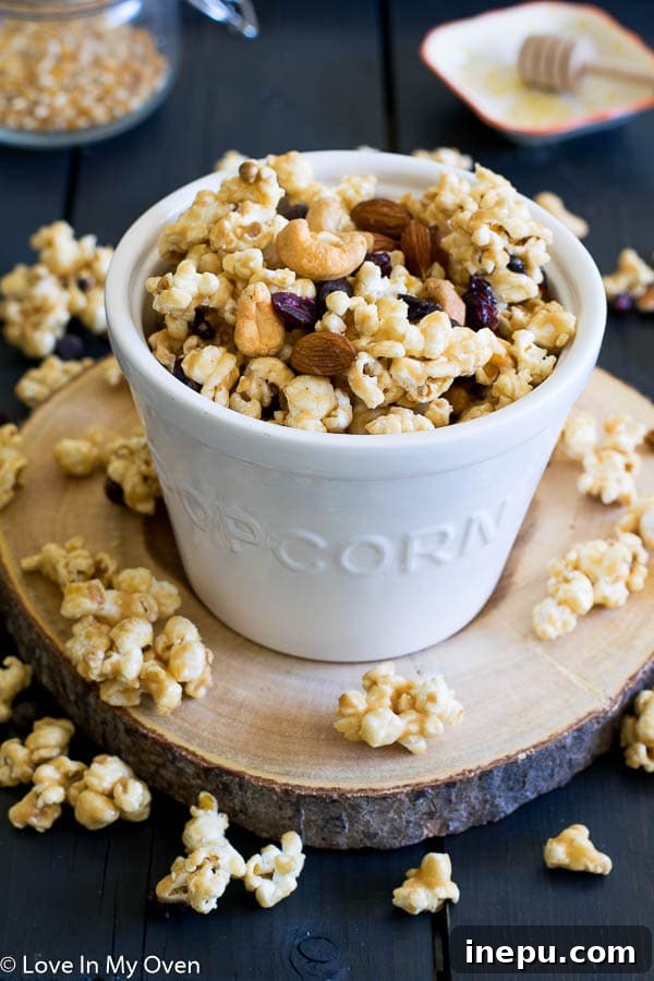 Trailblazer Popcorn 2 Delicious Trail Mix Popcorn, perfect for snacks