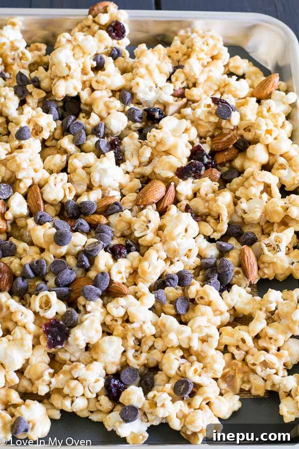 Trailblazer Popcorn 5 Various trail mix ingredients mixed with popcorn on a baking sheet