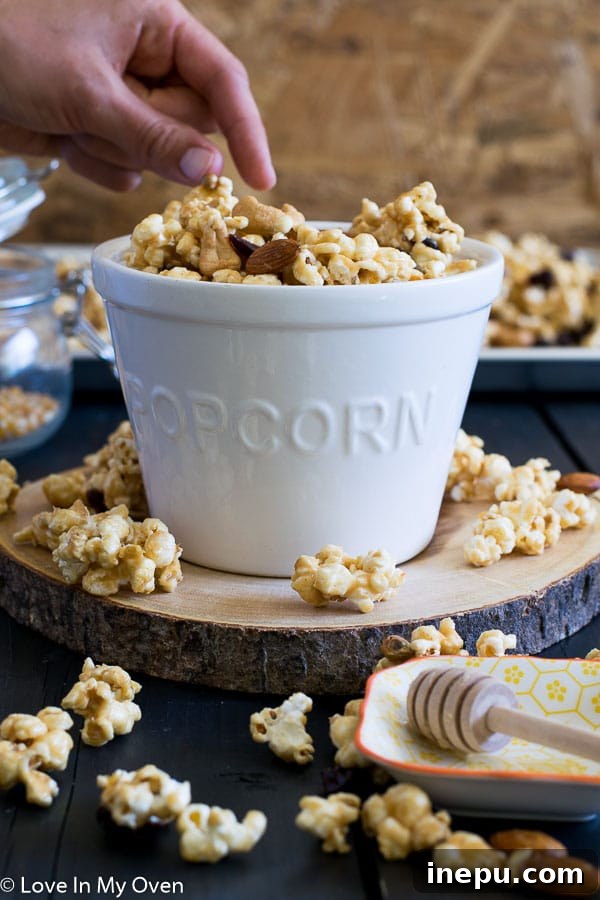 Trailblazer Popcorn 6 A bowl of delicious Trail Mix Popcorn, ready to eat