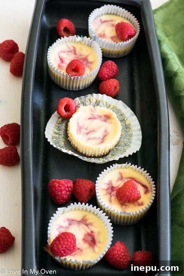 The Thursday Ten 2 Delicious mini raspberry cheesecakes and vibrant pink peonies in bloom