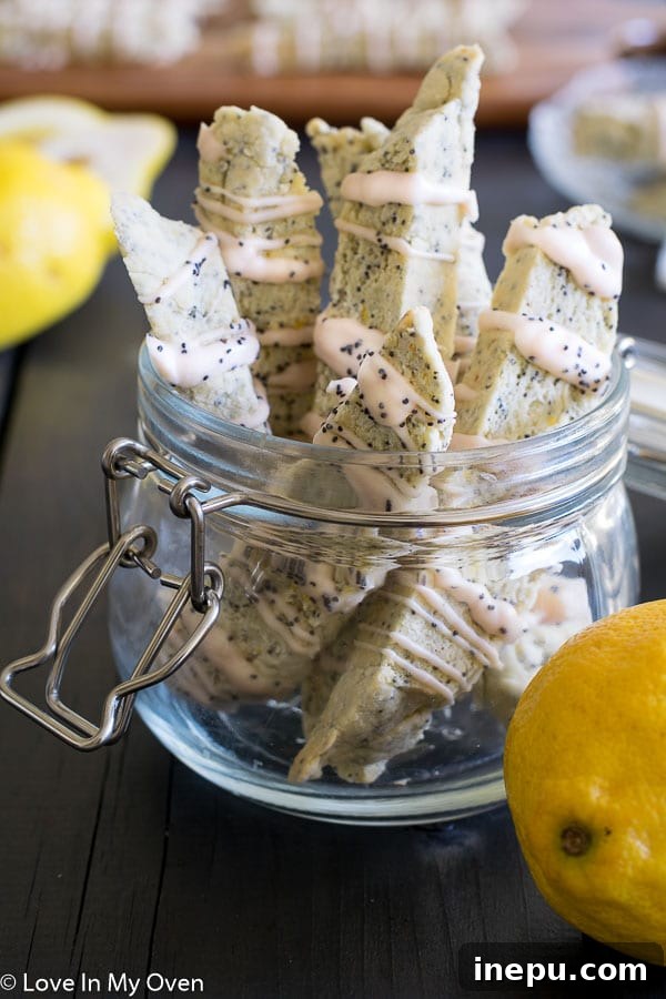 Zesty Lemon Poppy Seed Biscotti 6 Artfully arranged lemon poppy seed biscotti with elegant white chocolate drizzle