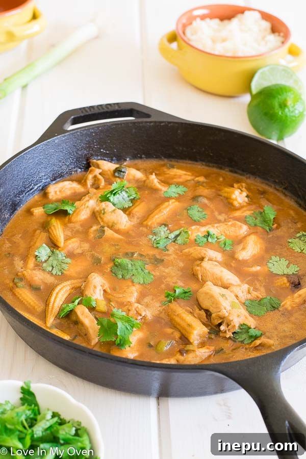Creamy Thai Chicken Peanut Curry served with rice.