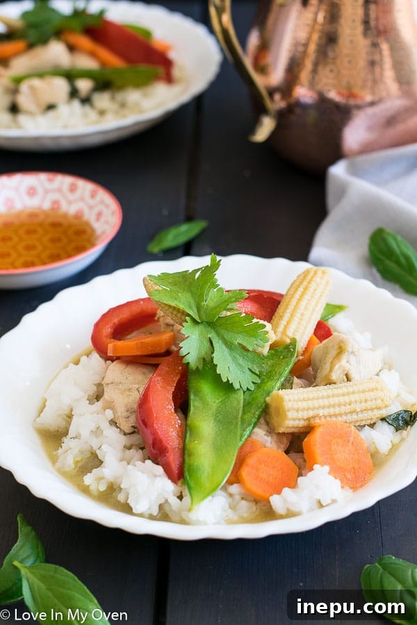 A bowl of Thai Green Chicken Curry ready to be served, garnished with fresh cilantro.