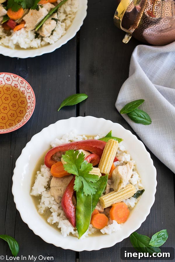 A beautifully presented bowl of Thai Green Chicken Curry, garnished with fresh herbs, ready to eat.
