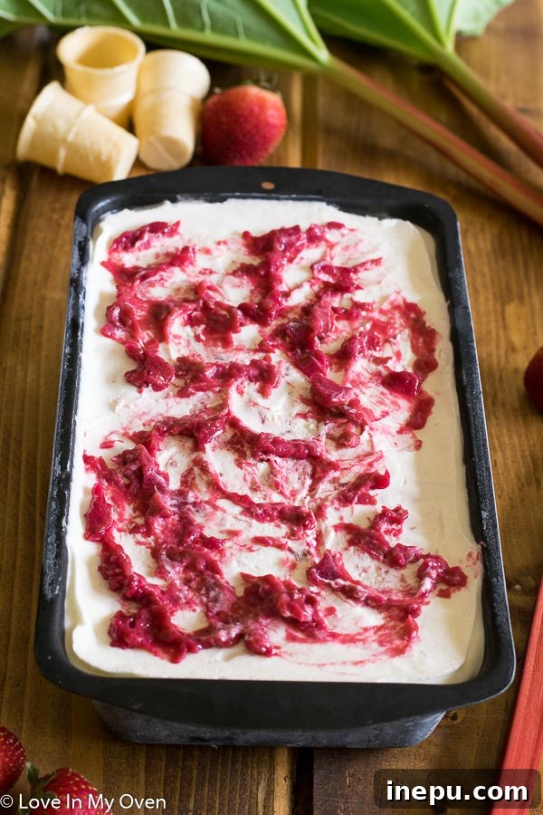 Roasted Strawberry-Rhubarb No Churn Ice Cream