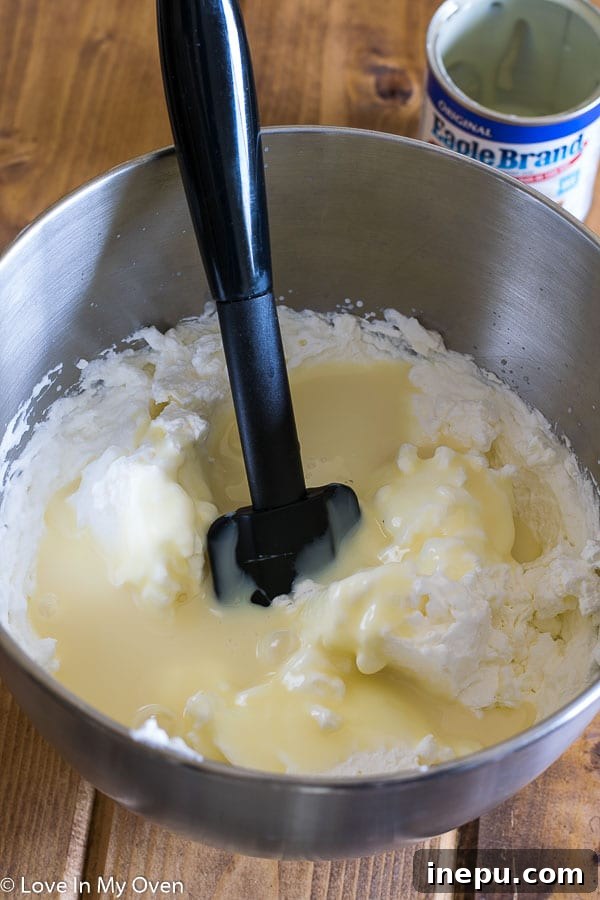 Preparing No-Churn Ice Cream
