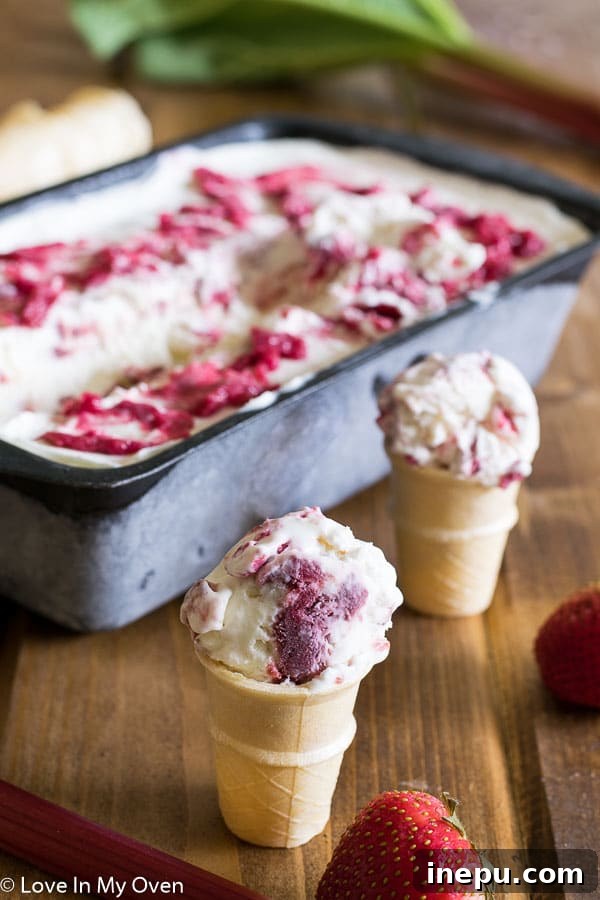 Roasted Strawberry Rhubarb No Churn Ice Cream Scoop