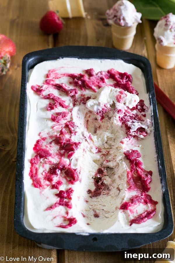 Roasted Strawberry Rhubarb No Churn Ice Cream in a bowl