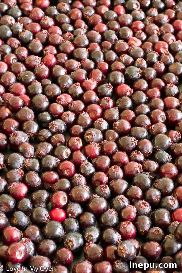 saskatoons