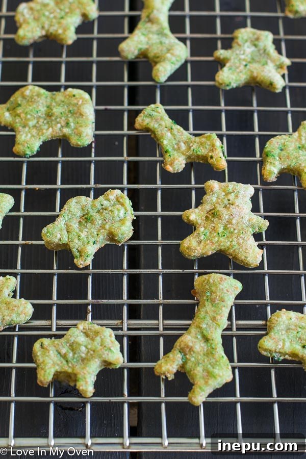 Emerald Crackers 3 spinach crackers - small green crackers arranged neatly