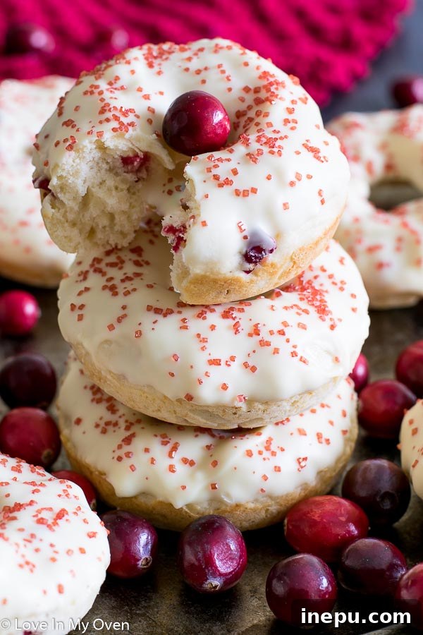 Cranberry White Chocolate Donuts, baked and glazed