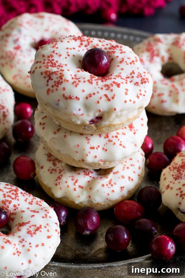 Plated white chocolate cranberry donuts