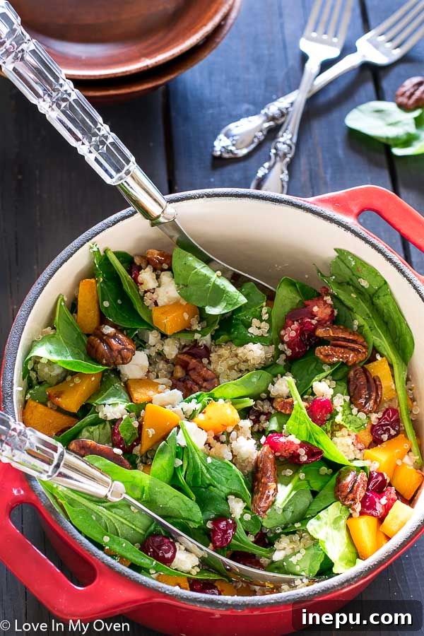 Sweet & Tart Butternut Bliss Salad 2 Roasted Butternut Squash and Cranberry Salad - a vibrant and healthy dish for any occasion.