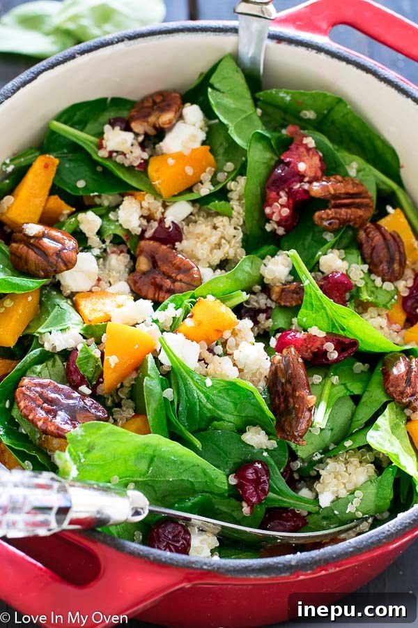 Sweet & Tart Butternut Bliss Salad 6 A bowl of roasted butternut squash and cranberry salad, beautifully presented.