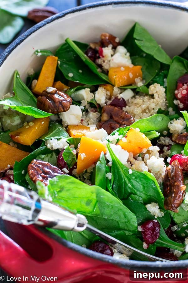 Sweet & Tart Butternut Bliss Salad 7 Overhead shot of the colorful roasted butternut squash and cranberry salad.