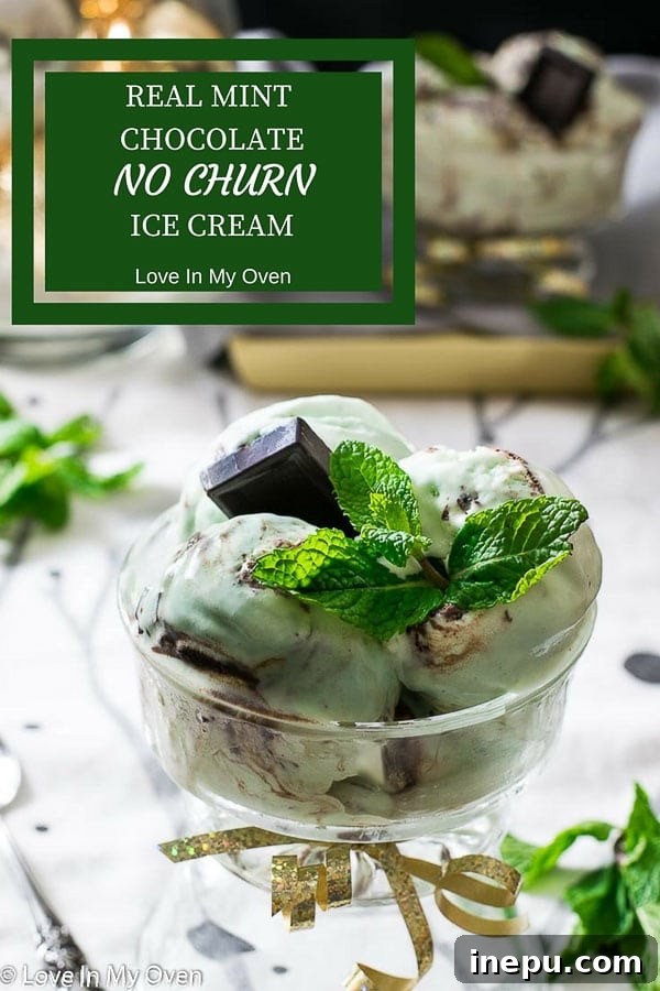 Mint Chocolate Chip Bliss 2 Real Mint Chocolate No Churn Ice Cream