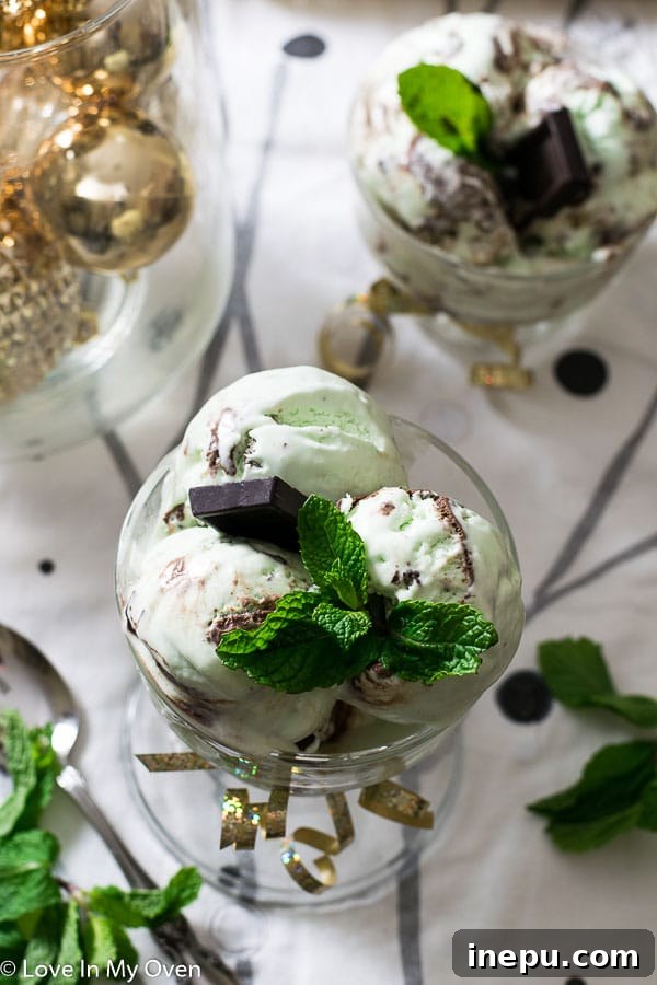 Mint Chocolate Chip Bliss 3 Real Mint Chocolate No Churn Ice Cream
