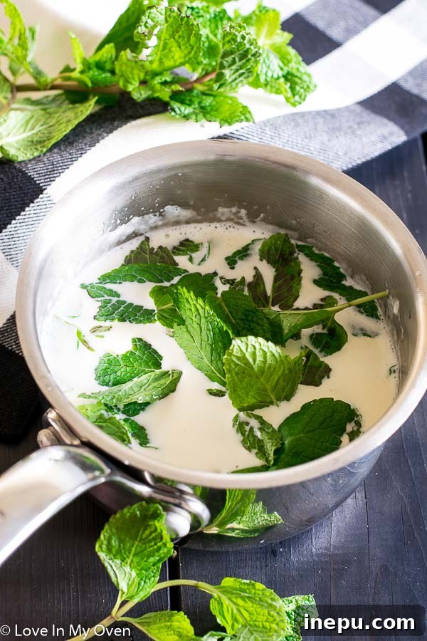 Mint Chocolate Chip Bliss 4 Real Mint Chocolate No Churn Ice Cream