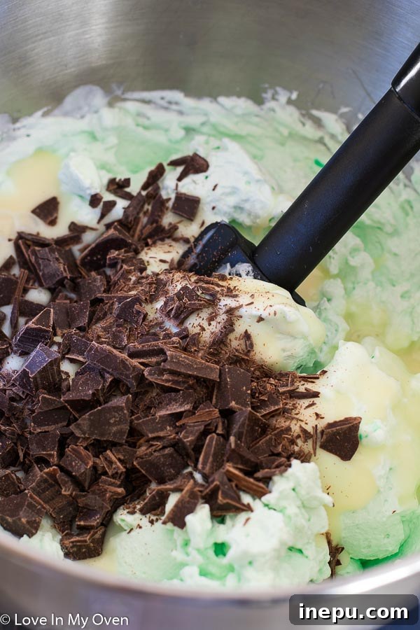 Mint Chocolate Chip Bliss 5 img 8331 4