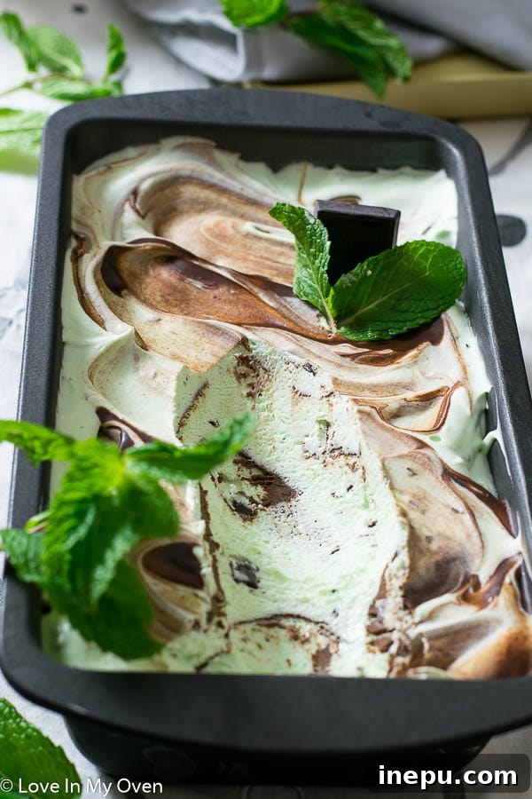 Mint Chocolate Chip Bliss 6 Real Mint Chocolate No Churn Ice Cream