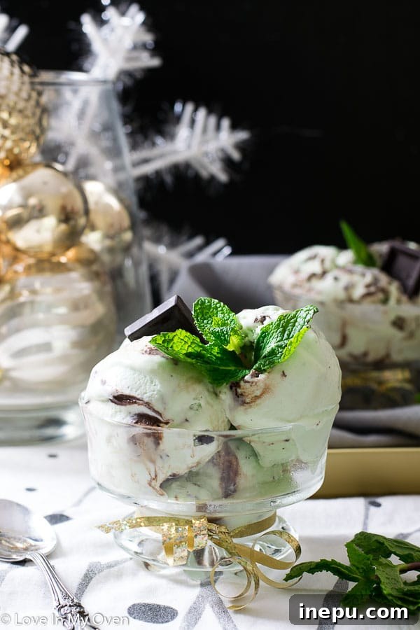 Mint Chocolate Chip Bliss 7 Real Mint Chocolate No Churn Ice Cream