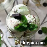 best mint chocolate chip ice cream