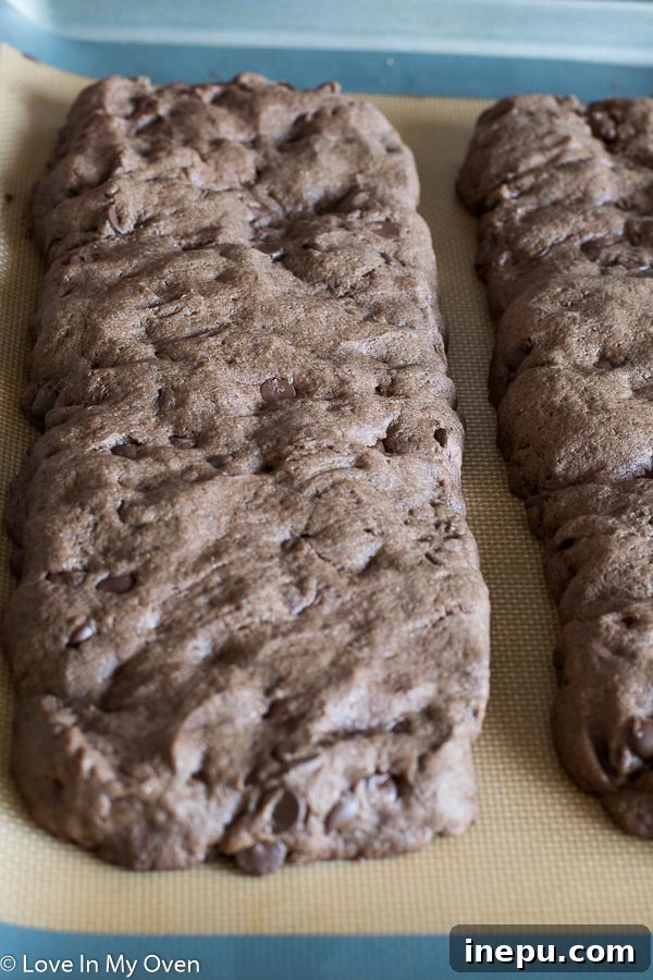 Decadent Peppermint Chocolate Biscotti 4 img 8336 3