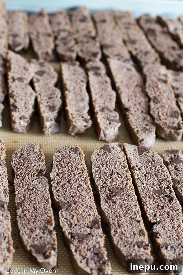 Decadent Peppermint Chocolate Biscotti 5 img 8336 4