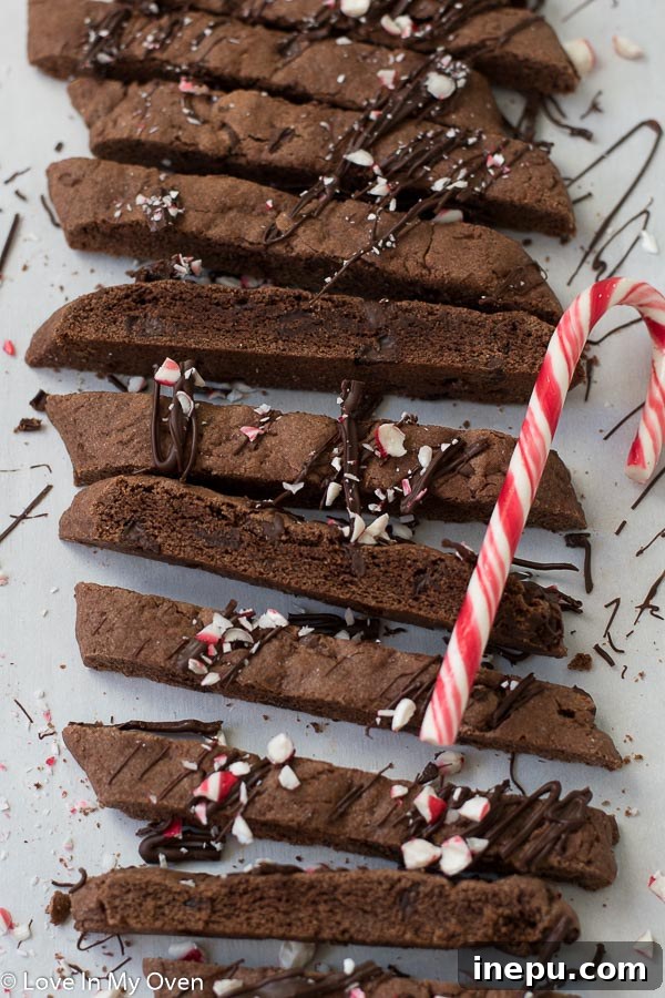 Decadent Peppermint Chocolate Biscotti 6 chocolate peppermint biscotti