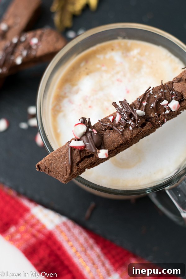 Decadent Peppermint Chocolate Biscotti 7 chocolate peppermint biscotti