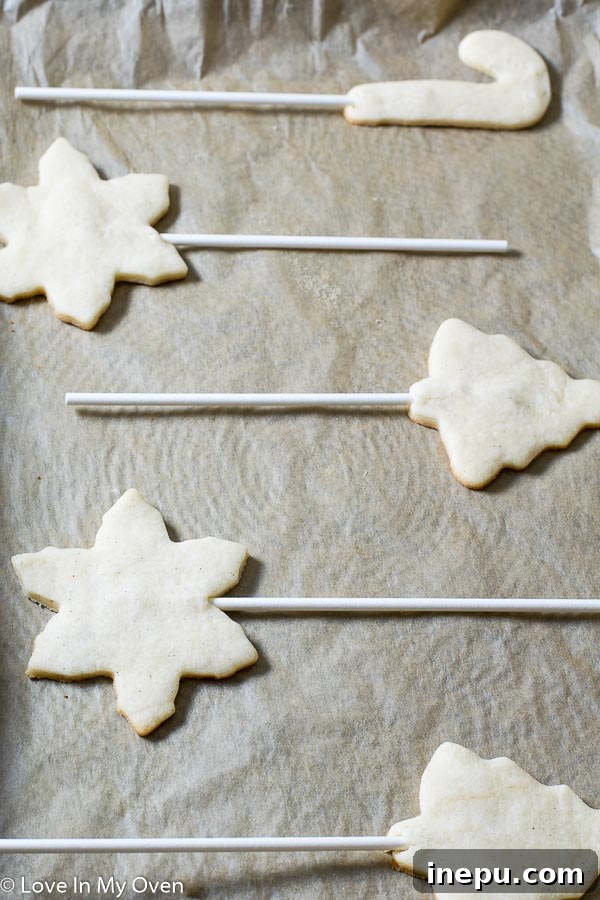 Holiday Cookie Pops 4 Close-up of a vanilla bean cookie pop, showing the vanilla flecks and the stick securely in place.