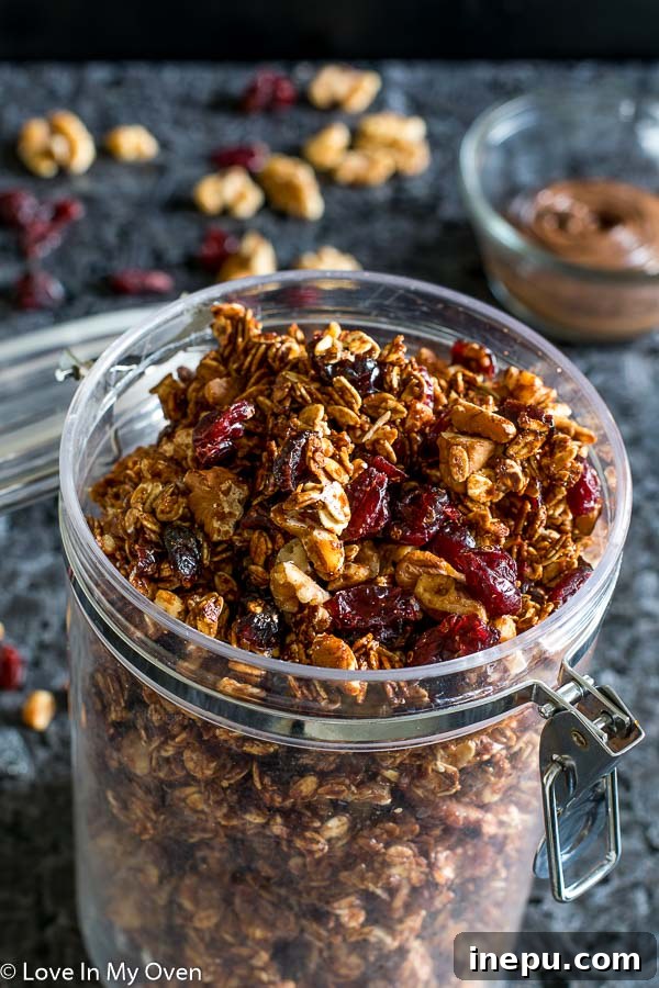 Nutella Swirl Walnut Granola 2 Delicious Nutella Walnut Granola, perfect for breakfast or snacking