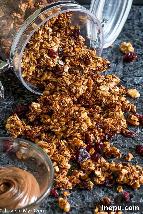 Nutella Swirl Walnut Granola 4 Golden brown Nutella Walnut Granola cooling on a baking sheet