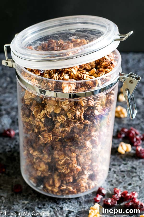 Nutella Swirl Walnut Granola 5 A bowl of freshly baked Nutella Walnut Granola, ready to be enjoyed