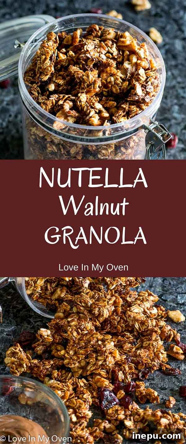 Nutella Swirl Walnut Granola 7 A vibrant close-up of Cherry Almond Granola in a bowl