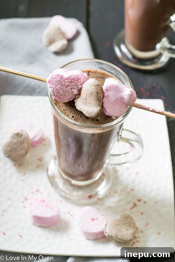 Artisan Chocolate Strawberry Marshmallows 6 Heart-shaped chocolate and strawberry marshmallows