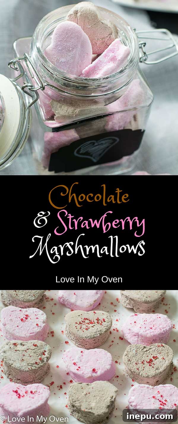 Artisan Chocolate Strawberry Marshmallows 9 Close-up of fluffy homemade marshmallows