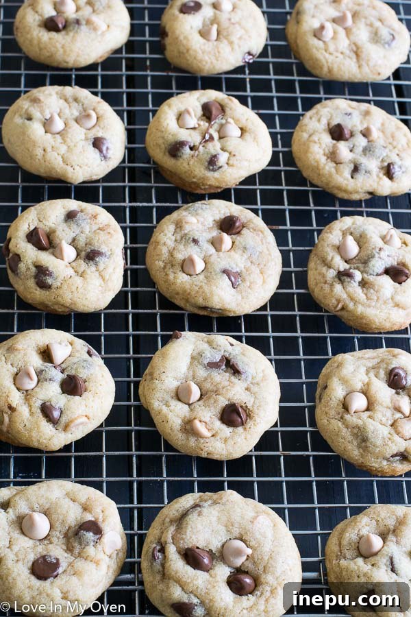 Raw cookie dough balls on a baking sheet, ready for the oven