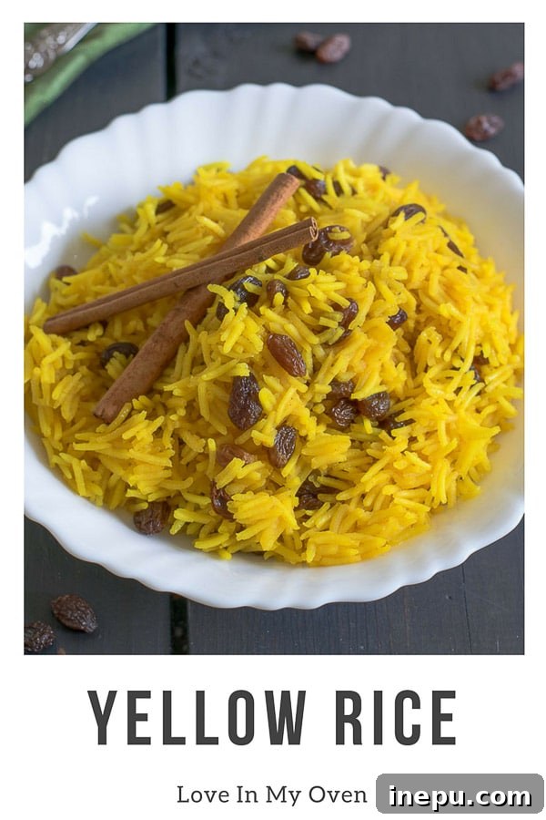 Cape Malay Golden Rice 2 Traditional South African Yellow Rice served in a bowl, showing its vibrant golden color and scattered raisins.