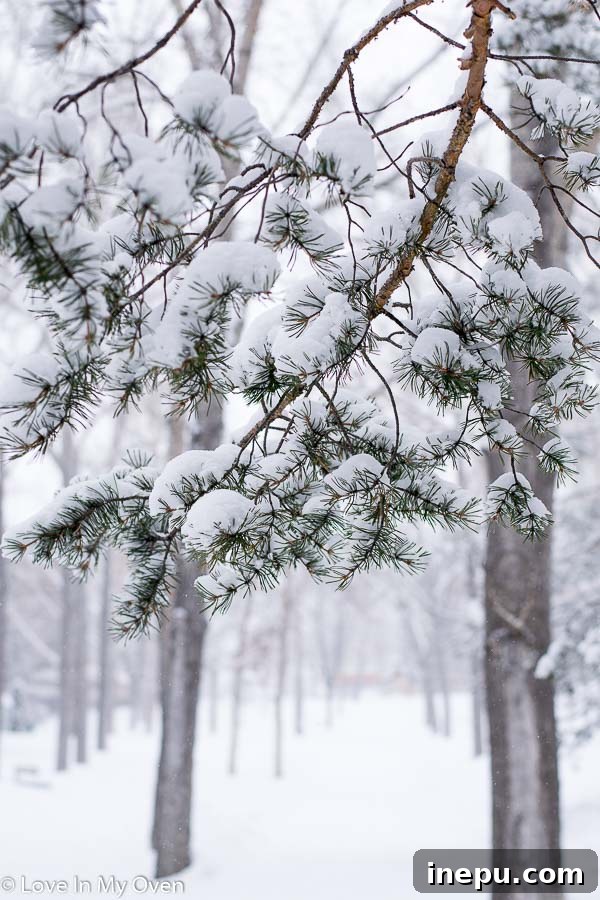 Ten Thursday Takes 2 Winter landscape transitioning to spring, anticipation of green scenery
