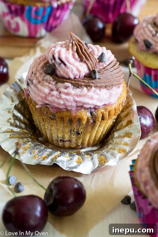 Close-up of Chocolate Cherry Chip Cupcakes
