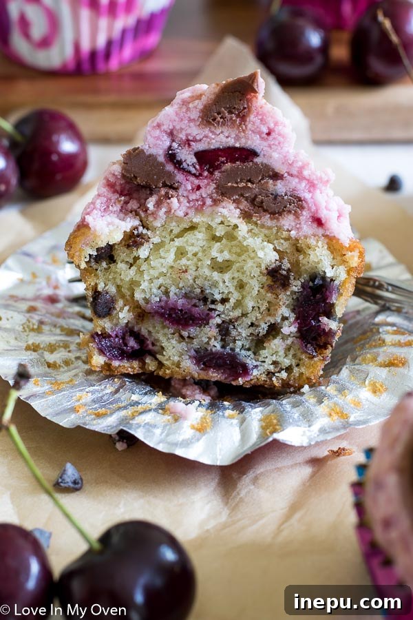 Decorated Chocolate Cherry Chip Cupcakes