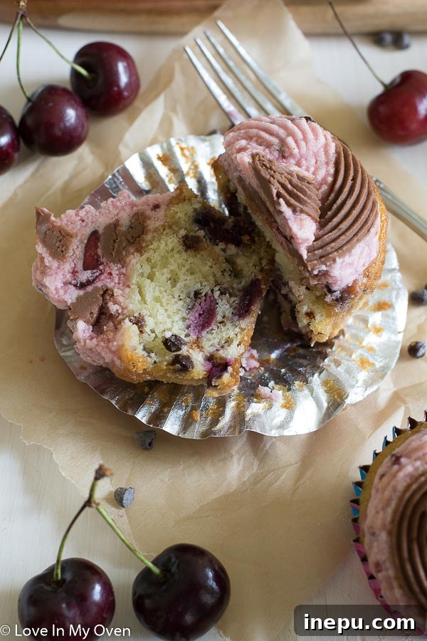 Chocolate Cherry Chip Cupcakes arranged on a serving plate