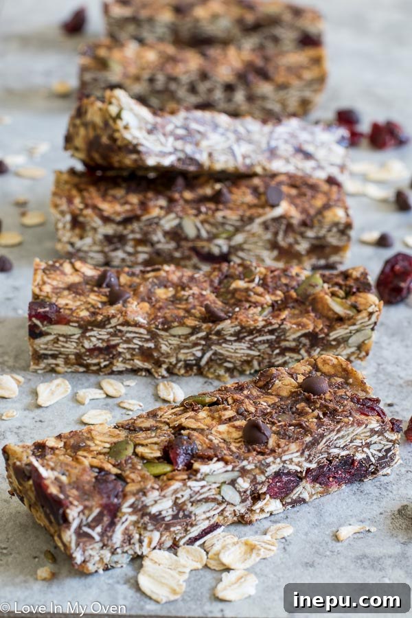 Chewy No-Bake Granola Bars for School Lunches