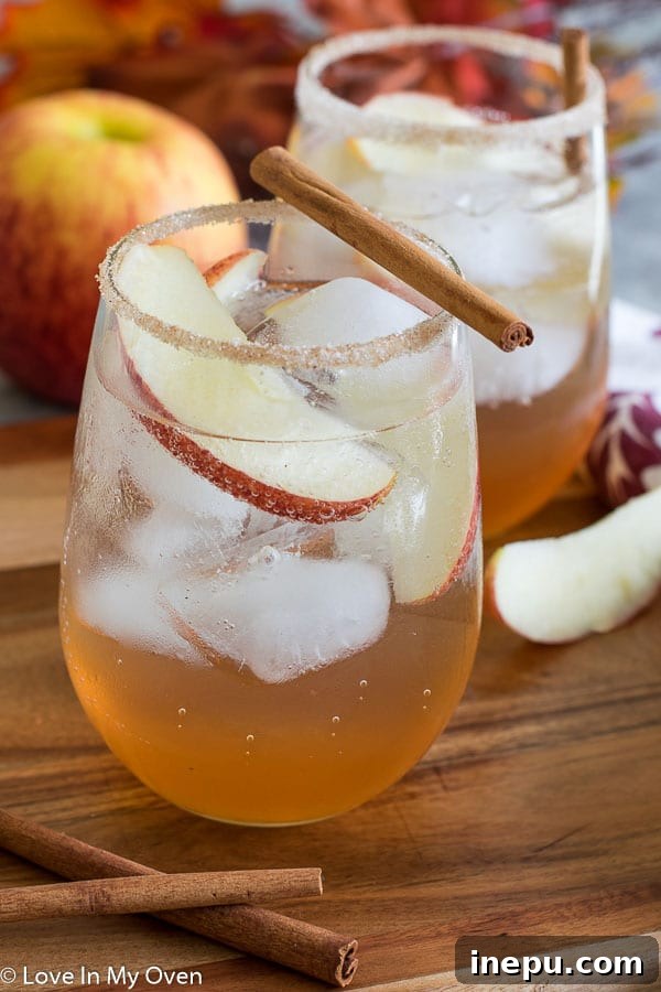 Harvest Apple Gin Fizz 5 Garnished Apple Cinnamon Gin Fizz with apple slices