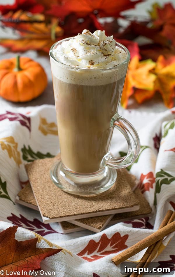 Autumn Vibes and Cozy Thoughts